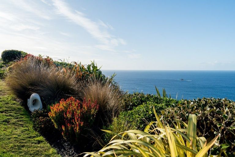 Photo of property in 25 Highgrove, Saint Clair, Dunedin, 9012