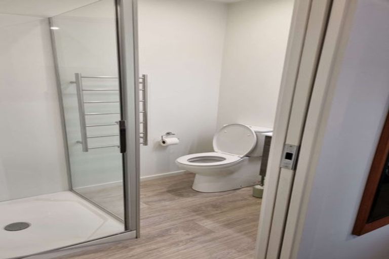 Photo of property in 50 Abberley Crescent, St Albans, Christchurch, 8014