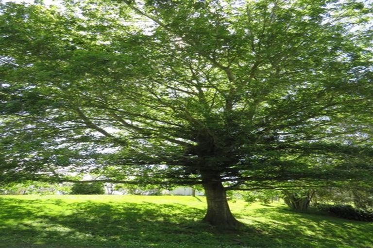 Photo of property in 1232 Bull Road, Paparoa, 0571