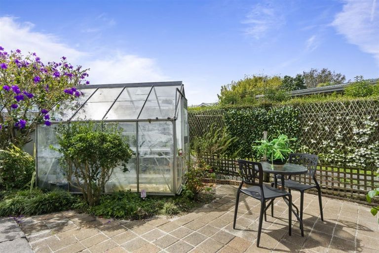 Photo of property in 1/5 Tristram Avenue, Forrest Hill, Auckland, 0620