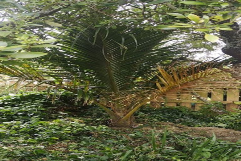 Photo of property in 11 Cook Street, Havelock, 7100