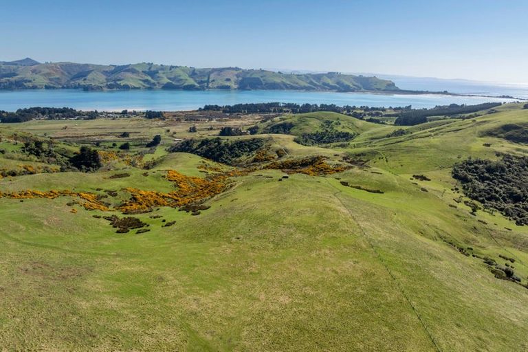 Photo of property in 452 Harington Point Road, Lower Portobello, Dunedin, 9077