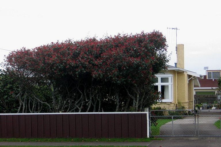Photo of property in 28 Stuckey Street, Levin, 5510
