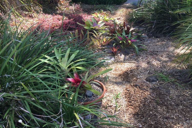 Photo of property in 88 Te Pua Road, Kaikohe, 0472