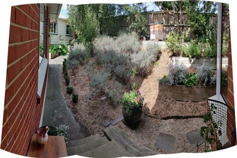 Photo of property in 263 Pine Hill Road, Liberton, Dunedin, 9010