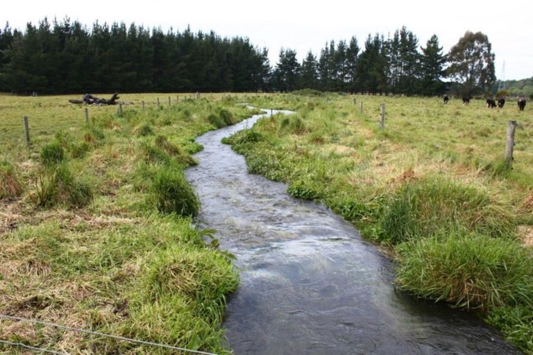 Photo of property in 119 Orari Back Road, Geraldine, 7992