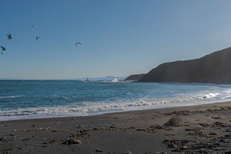 Photo of property in 89 Te Wai Komaru Way, Makara, Wellington, 6972