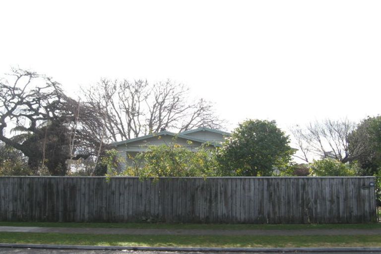 Photo of property in 106 Charlotte Crescent, Mayfair, Hastings, 4122