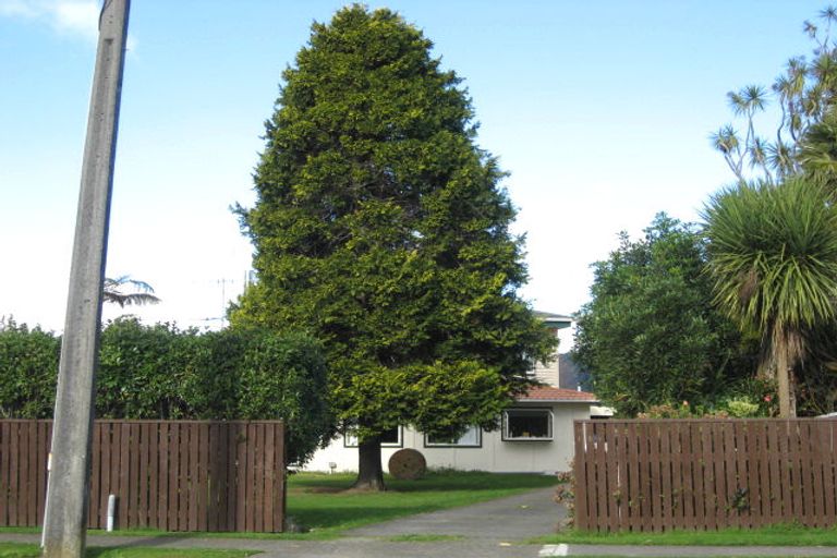 Photo of property in 188 Bartholomew Road, Levin, 5510