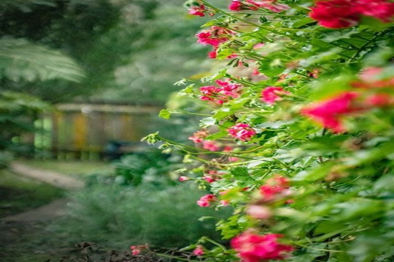 Photo of property in 8 Newstead Avenue, Browns Bay, Auckland, 0632