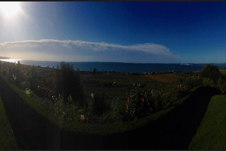 Photo of property in 757 Main Road North, Bay View, Napier, 4182