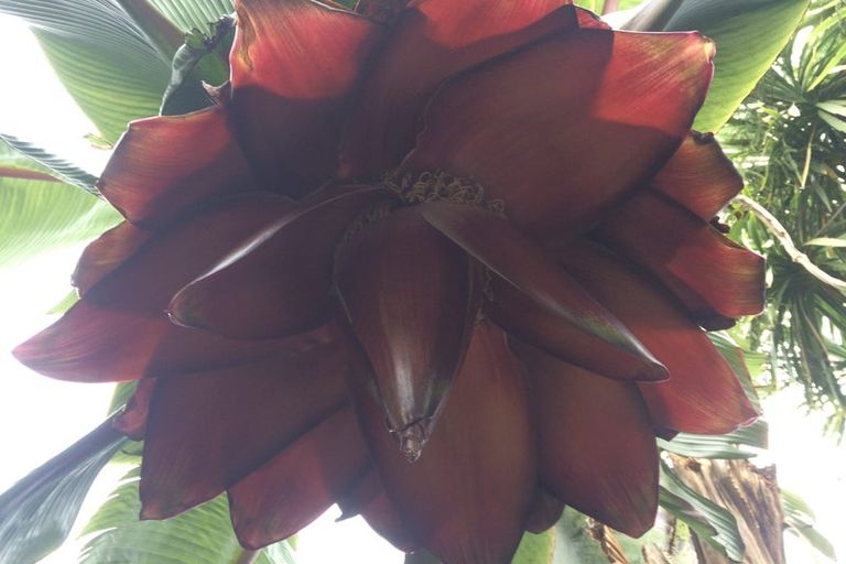 Photo of property in 125 Matangi Road, Matangi, Hamilton, 3284