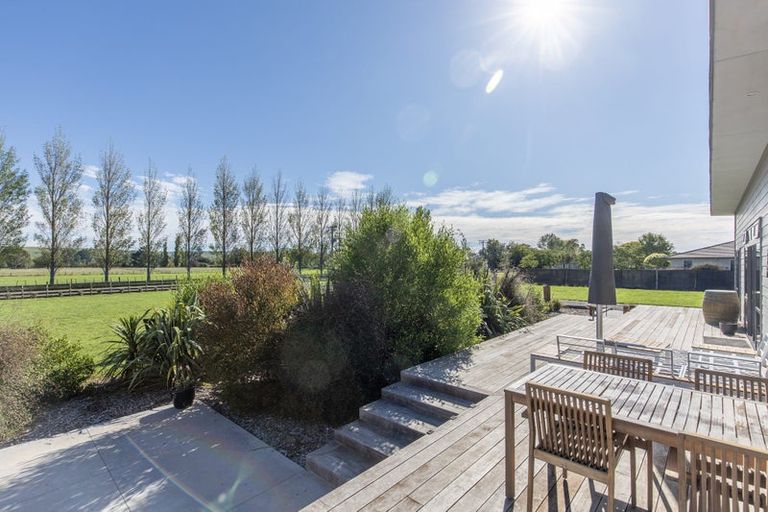 Photo of property in 81 Kyle Road, Waipukurau, 4281