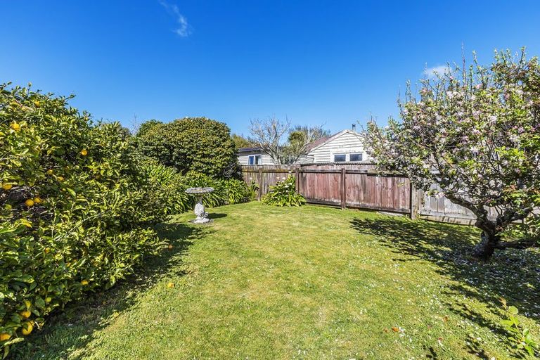 Photo of property in 146 Main Road, Tawa, Wellington, 5028