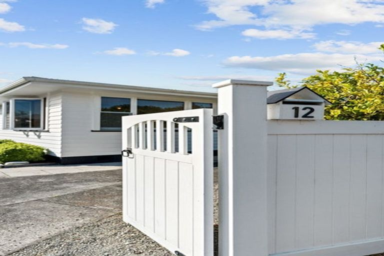 Photo of property in 12 Suez Street, Martinborough, 5711