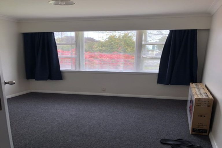 Photo of property in 61 Birmingham Street, Takaro, Palmerston North, 4412