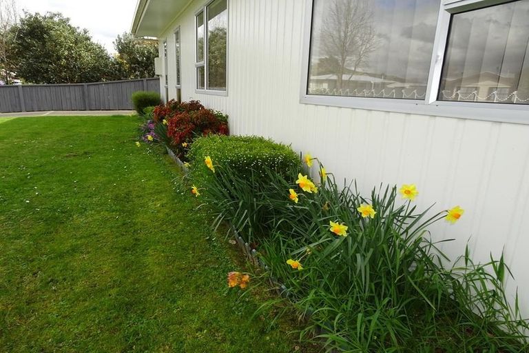 Photo of property in 12 Jeffares Place, Taradale, Napier, 4112