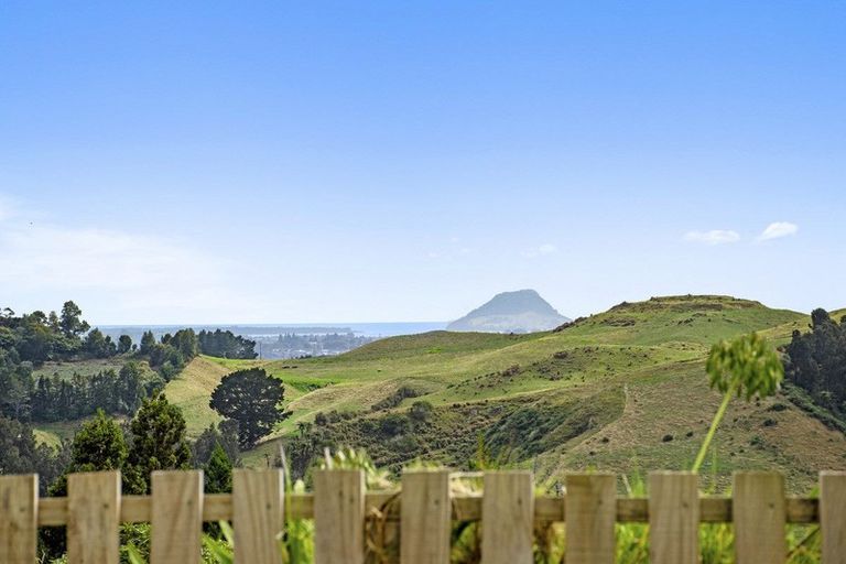 Photo of property in 228 Warner Road, Oropi, Tauranga, 3173