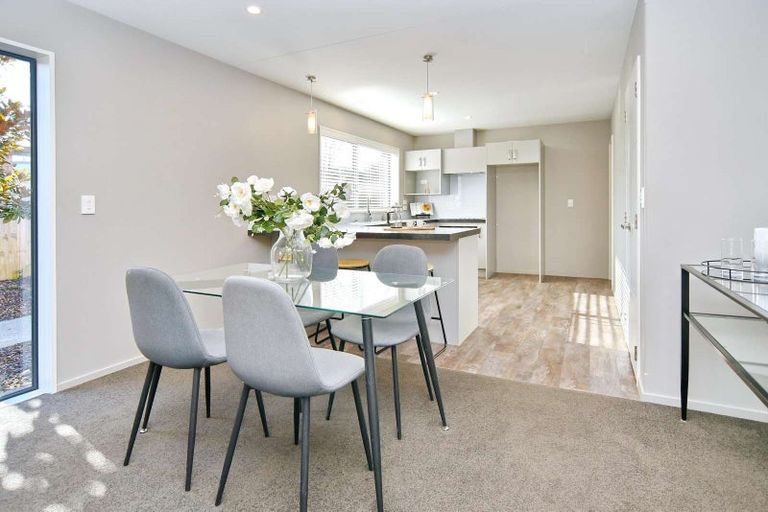 Photo of property in 9b Amstel Lane, Richmond, Christchurch, 8013