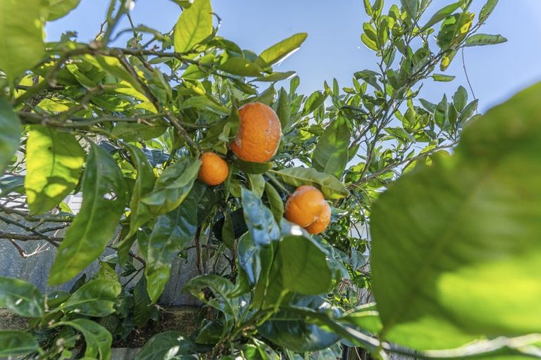 Photo of property in 1/117 Seaview Road, Westown, New Plymouth, 4310