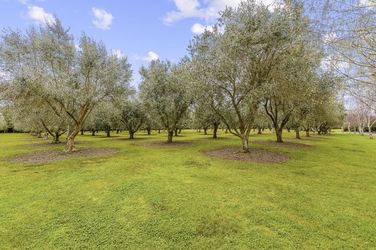 Photo of property in 134 Te Waka Road, Te Horo, Otaki, 5581