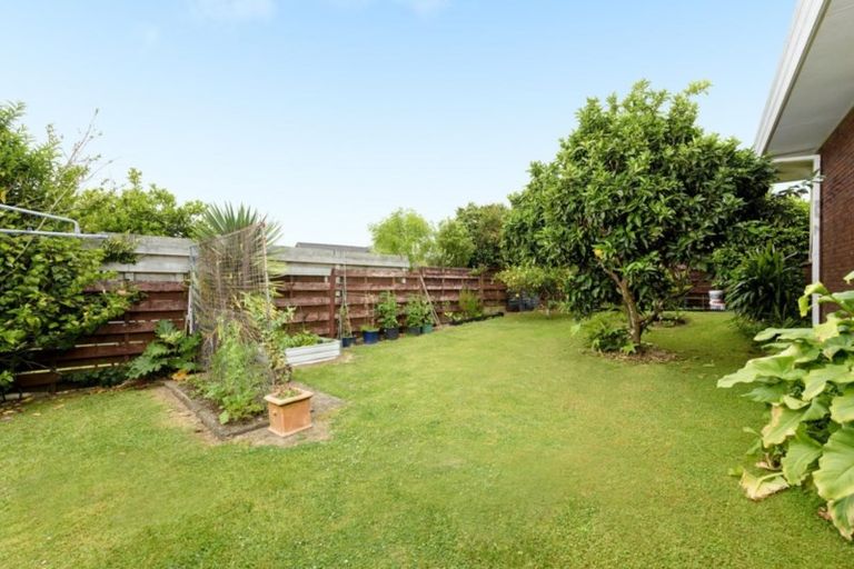 Photo of property in 40a Kings Avenue, Matua, Tauranga, 3110