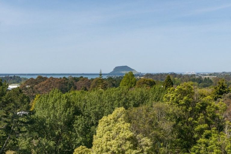 Photo of property in 140a Minden Road, Minden, Tauranga, 3176