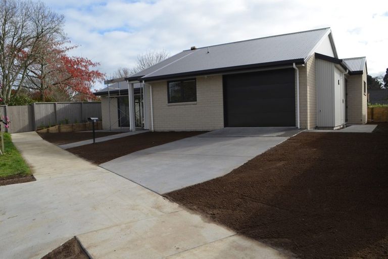 Photo of property in 50 Parau Drive, Bethlehem, Tauranga, 3110