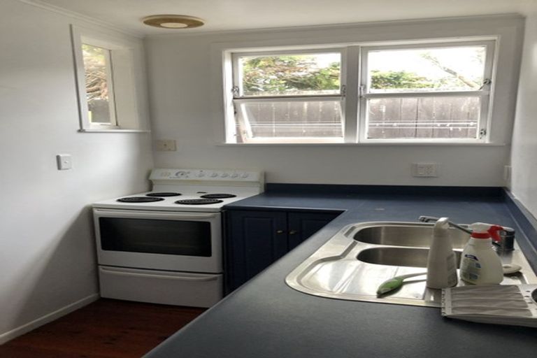 Photo of property in 36 Plunket Street, Kelburn, Wellington, 6012