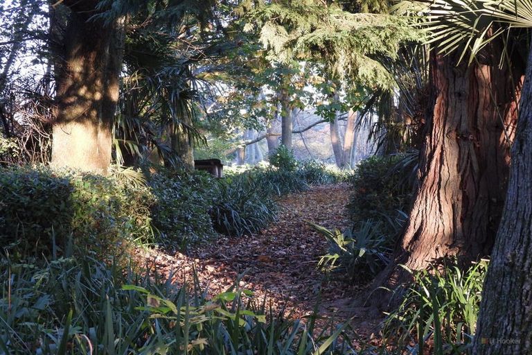 Photo of property in Ashfield, 410 Orari Station Road, Geraldine, 7992