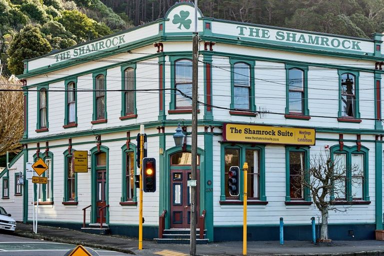 Photo of property in 230 Tinakori Road, Thorndon, Wellington, 6011