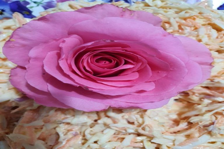 Photo of property in 44 Napier Road, Havelock North, 4130