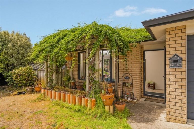 Photo of property in 4a Nicholas Avenue, Whitianga, 3510