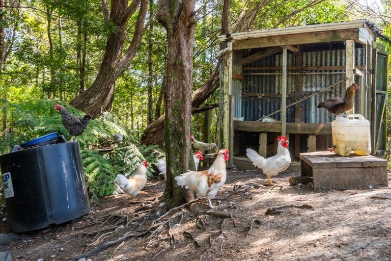 Photo of property in 202 Albany Heights Road, Albany Heights, Albany, 0792