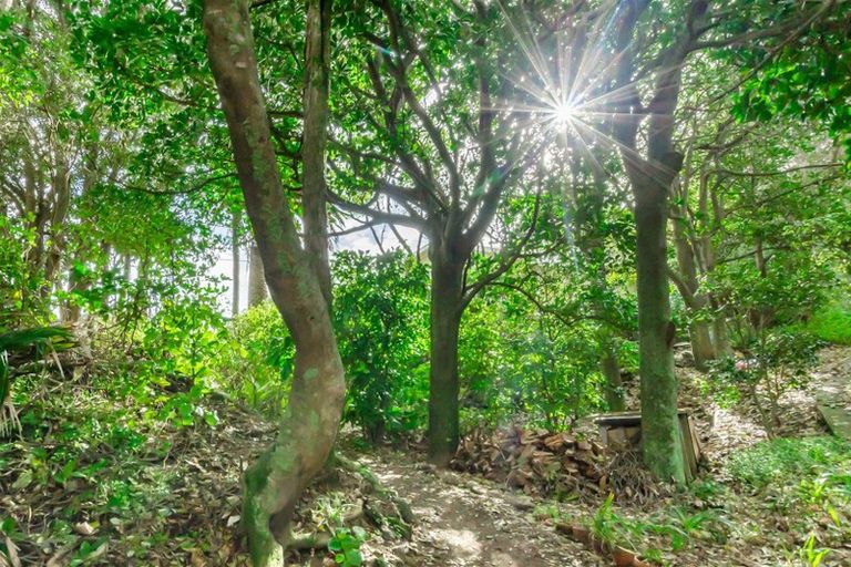 Photo of property in 17 Ocean Road, Paekakariki, 5034