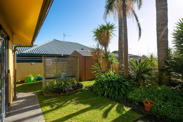 Photo of property in 31 Willow Grove, Morrinsville, 3300