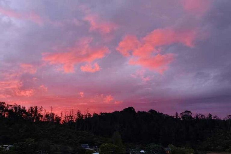 Photo of property in 4 Patton Place, Tairua, 3508