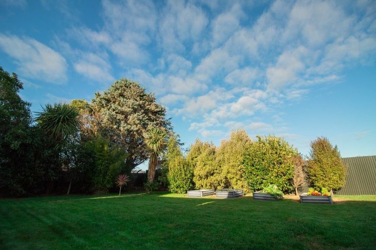 Photo of property in 101 Mulgrave Street, Ashhurst, 4810