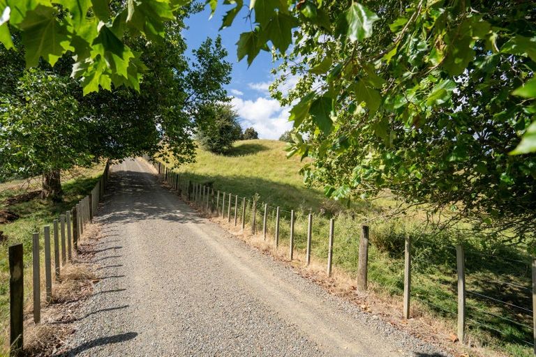 Photo of property in 1534 Buckland Road, Karapiro, Cambridge, 3496