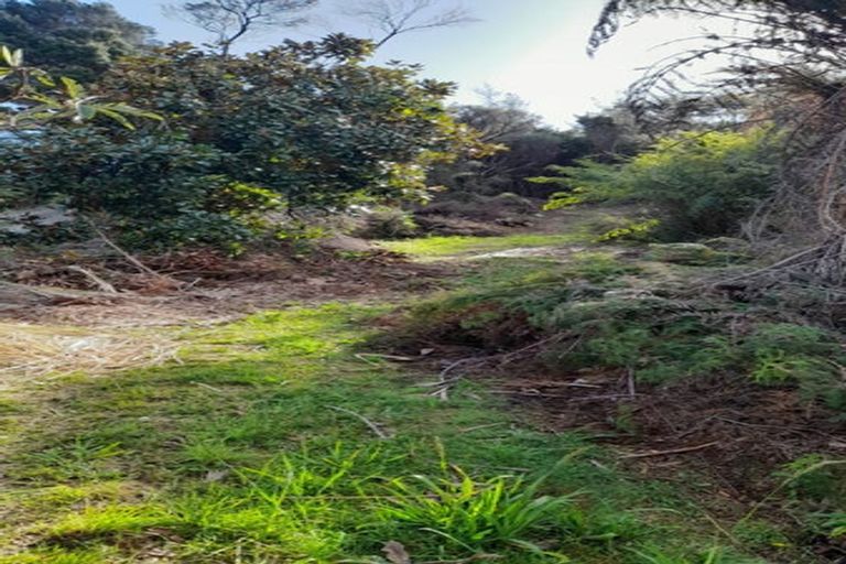 Photo of property in 119 Cable Bay Block Road, Cable Bay, 0420