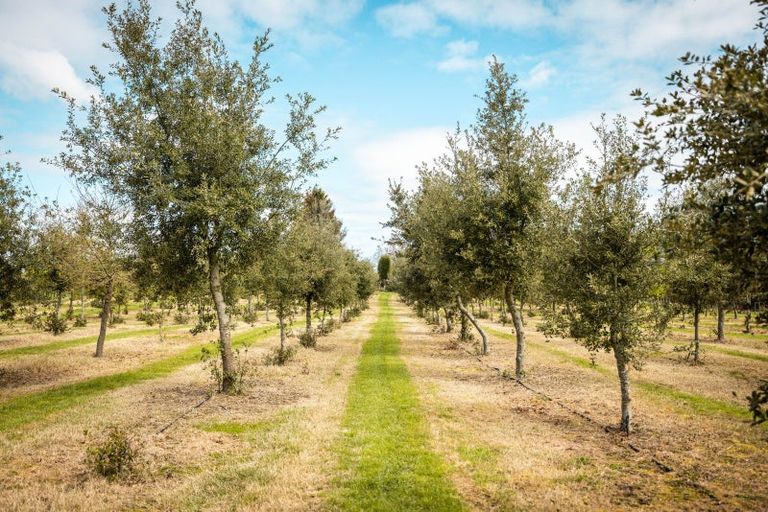 Photo of property in 271 Mystery Creek Road, Ohaupo, 3881