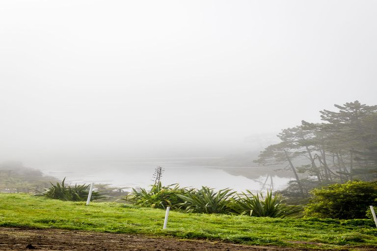 Photo of property in 74 Pohutukawa Parade, Riverhead, 0820