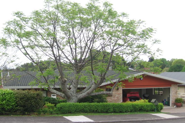 Photo of property in 9 Ohinemuri Place, Paeroa, 3600