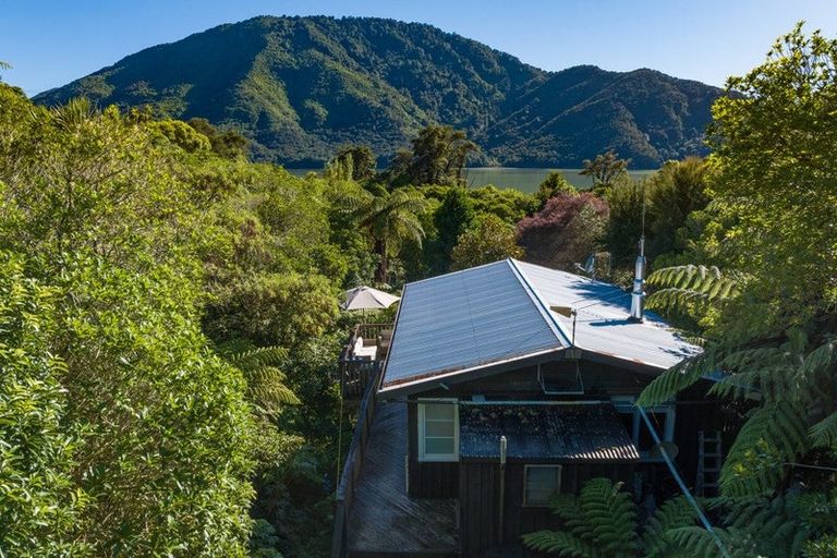 Photo of property in 786 Queen Charlotte Drive, Havelock, Picton, 7281