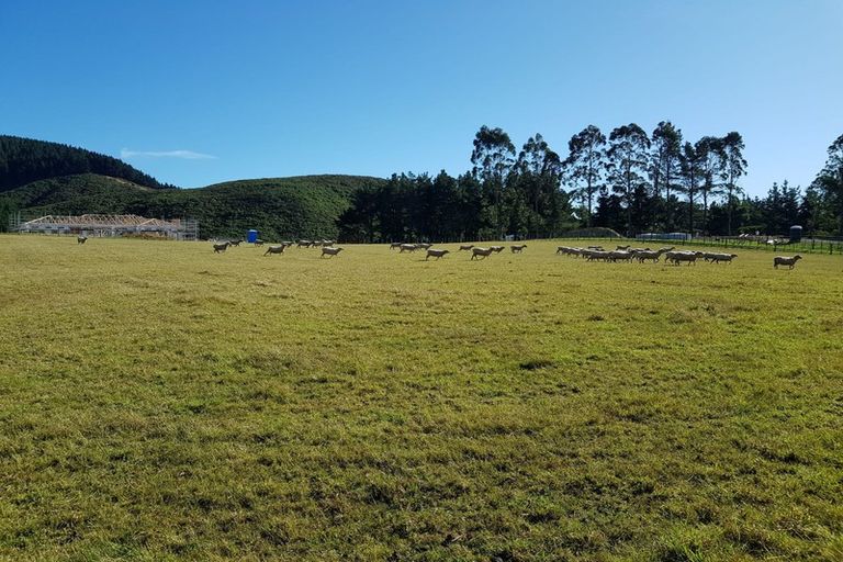 Photo of property in 210 Potts Road, Koputaroa, Levin, 5571