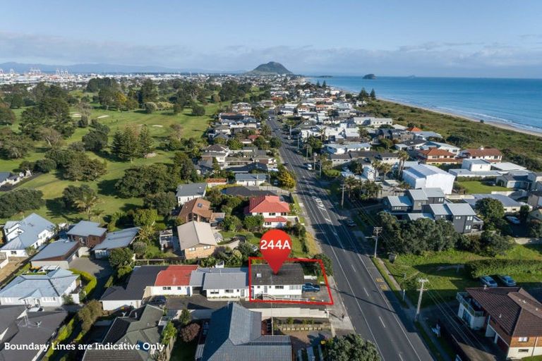 Photo of property in 244a Oceanbeach Road, Mount Maunganui, 3116