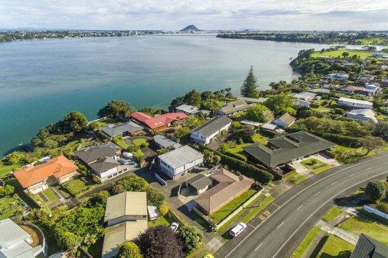 Photo of property in 340b Maungatapu Road, Maungatapu, Tauranga, 3112