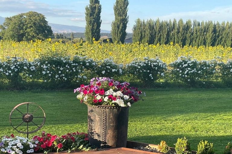 Photo of property in 4 Padgets Lane, Earnscleugh, Alexandra, 9391