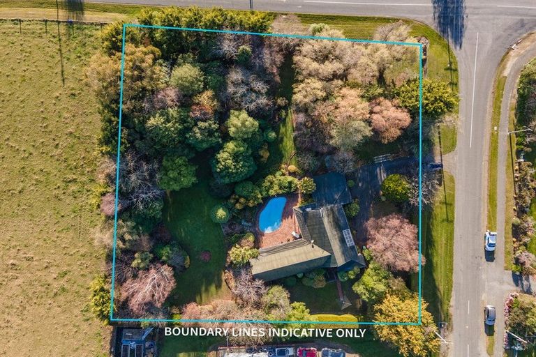 Photo of property in 3 Allan Street, Waimate, 7924