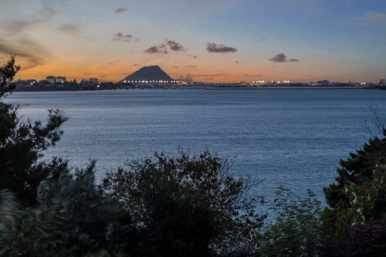 Photo of property in 49 Vine Avenue, Maungatapu, Tauranga, 3112